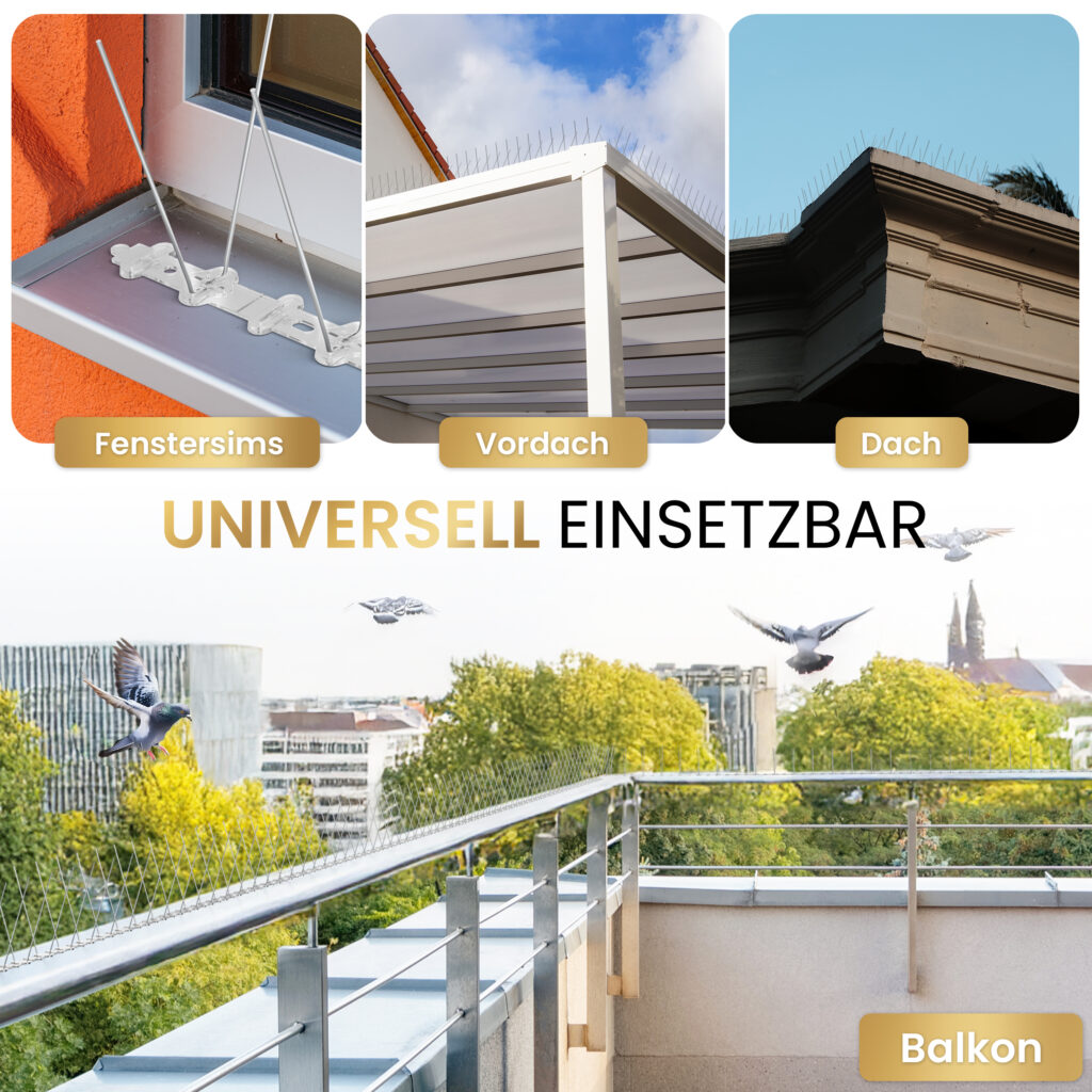 Beispiel Amazon Produktbild: Einheitlicher Stil